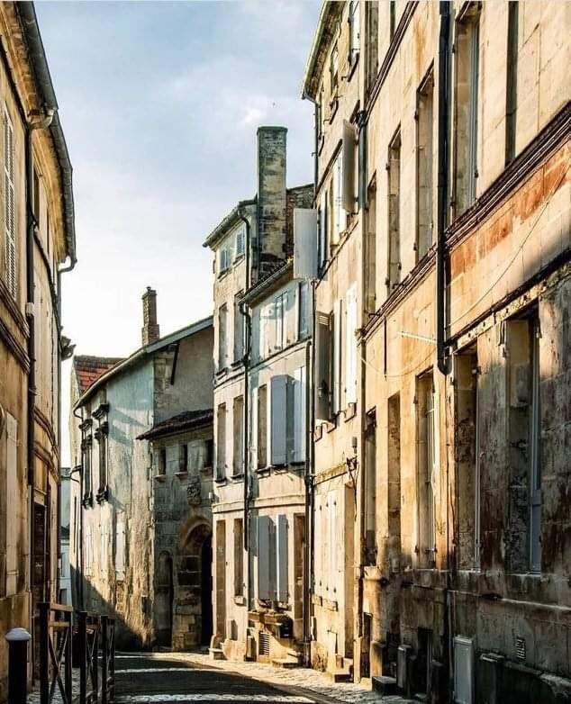 Apartament Le Cordon Bleu # Vieux-Cognac # Jardin Zewnętrze zdjęcie