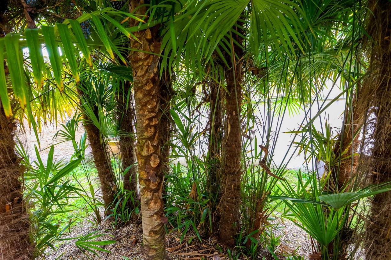 Apartament Le Cordon Bleu # Vieux-Cognac # Jardin Zewnętrze zdjęcie